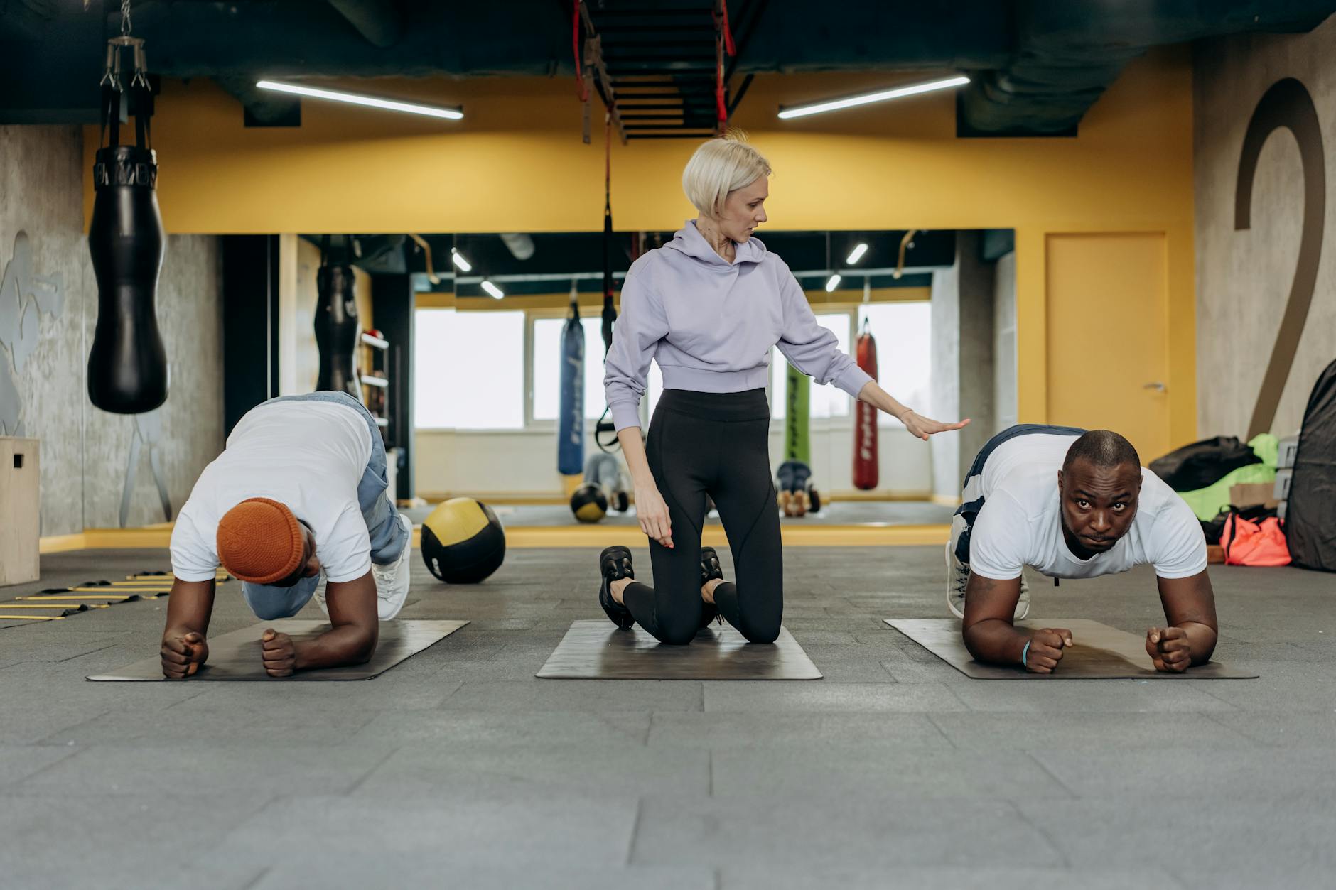 Dingofit Fitness Club about