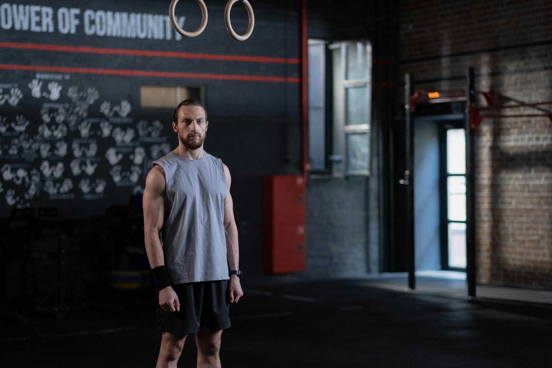 Dingofit Fitness Club contact